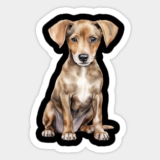 Puppy Azawakh Sticker